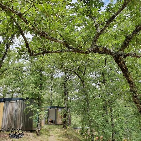 Ninho da Avó Villa Montalegre Ngoại thất bức ảnh