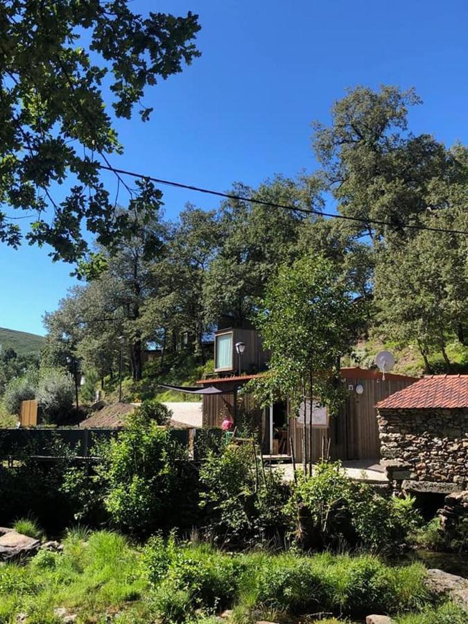 Ninho da Avó Villa Montalegre Ngoại thất bức ảnh