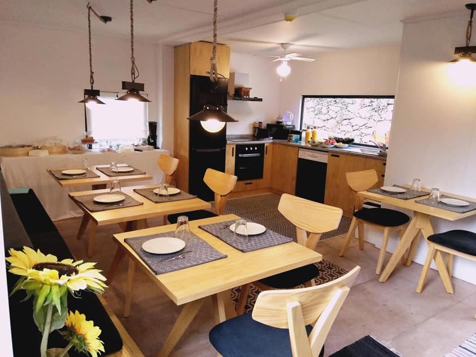 Ninho da Avó Villa Montalegre Ngoại thất bức ảnh